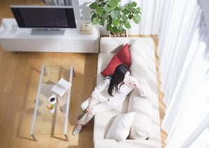 東京でシロアリ駆除を依頼するには